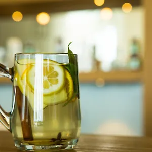 The Lifeco Well-being Detox Center And Vegan Otel